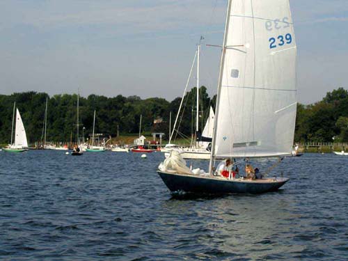 rbb239d-01-01