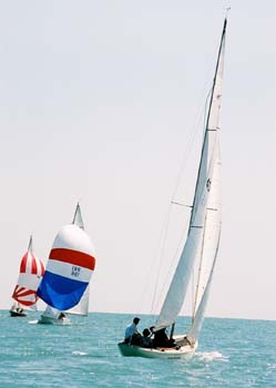 Roll-E-16