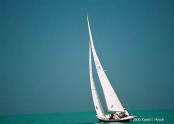 Roll-E-20