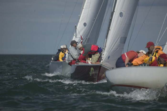 100_8000 - sail 252