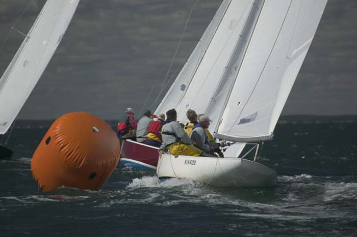 100_8028 - sail 235