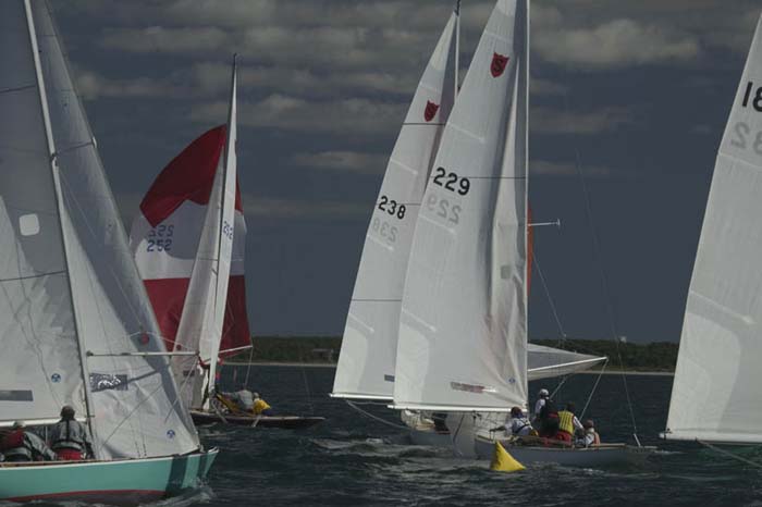 100_8160 - sail 229