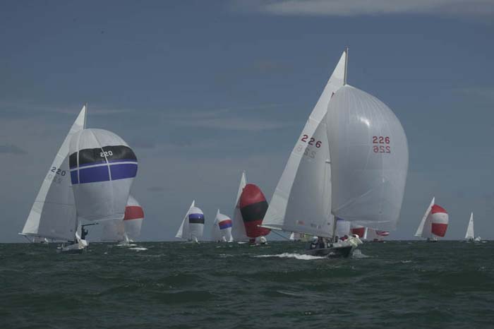 100_8427 - sail 226