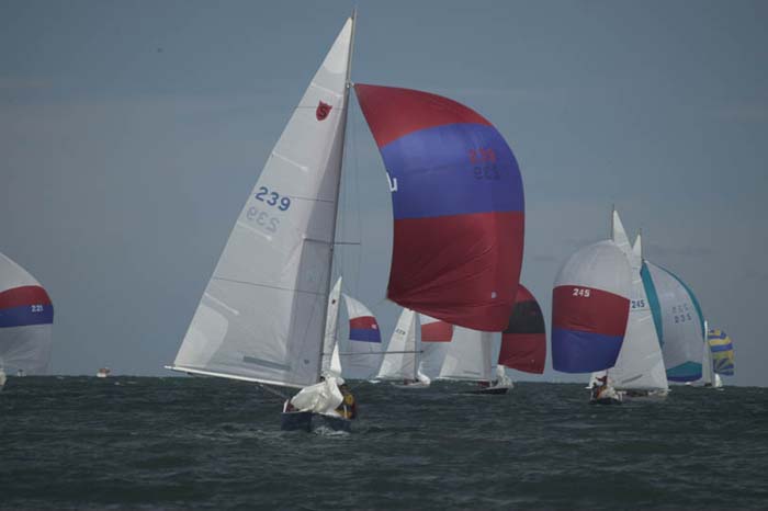 100_8460 - sail 239