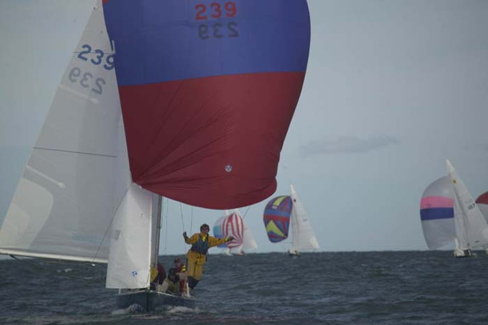100_8466 - sail 239