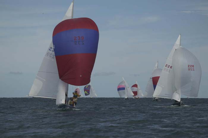 100_8467 - sail 239