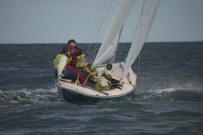 100_8471 - sail 239