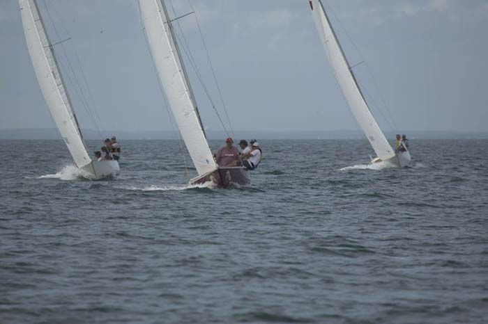 5D2W7222 - sail 252