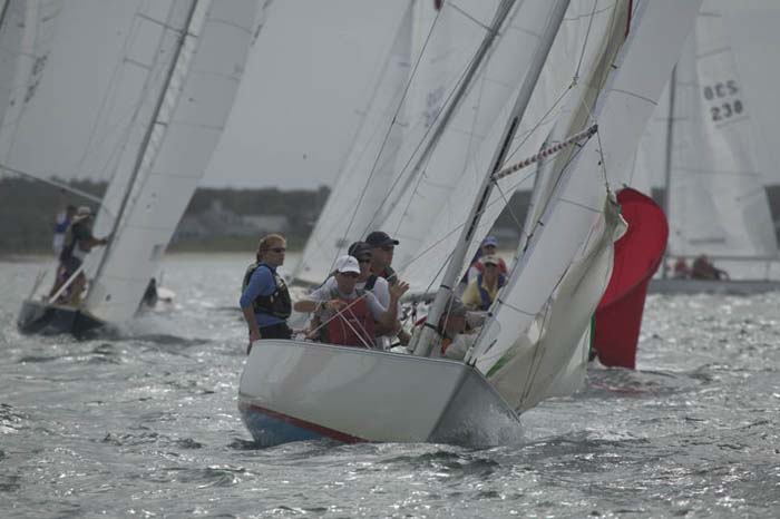 5D2W7245 - sail 248