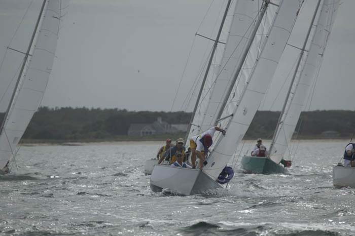 5D2W7255 - sail 229