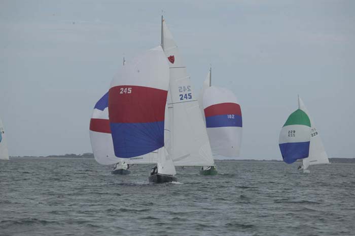5D2W7273 - sail 245