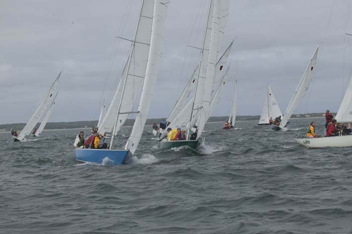 5D2W7432 - sail 11 sail 244