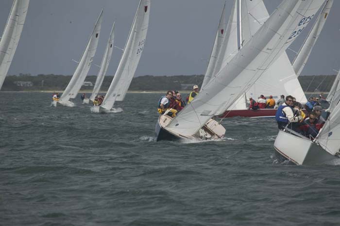 5D2W7462 - sail 239