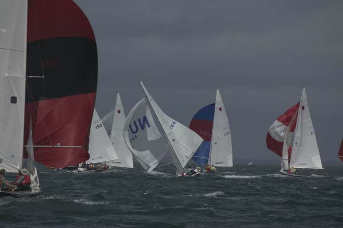 5D2W7511 - sail 244