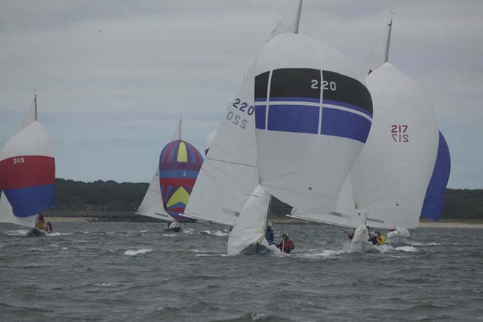 5D2W7797 - sail 220