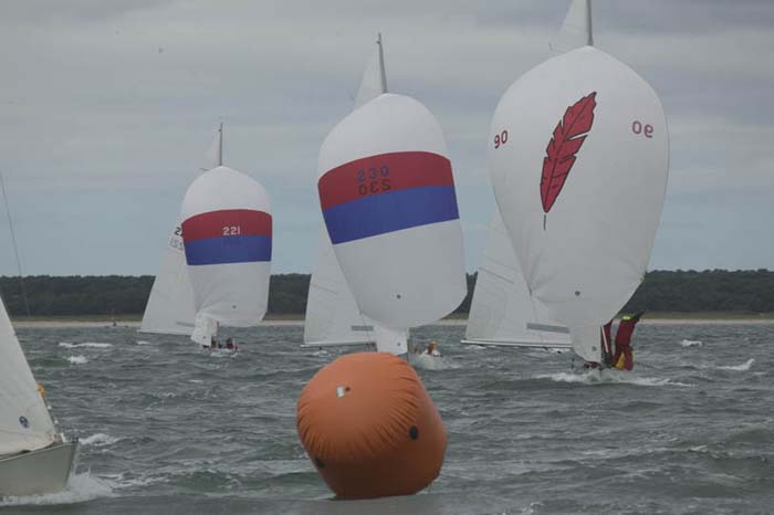 5D2W7803 - sail 90 sail 230 sail 221