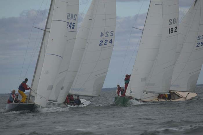 5D2W7818 - sail 182 sail 245 sail 224