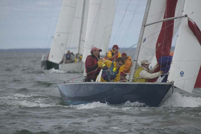 5D2W7823 - sail 239