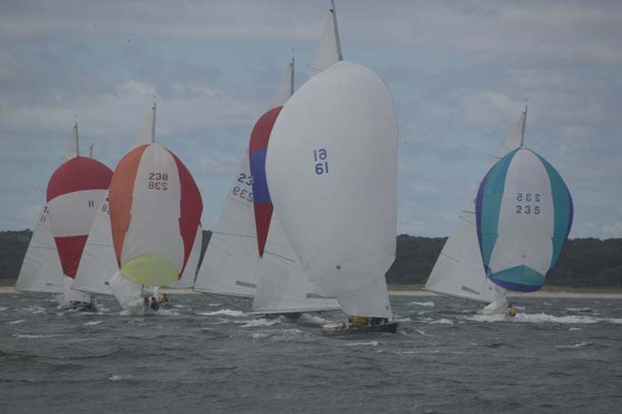 5D2W7838 - sail 61 - sail 238