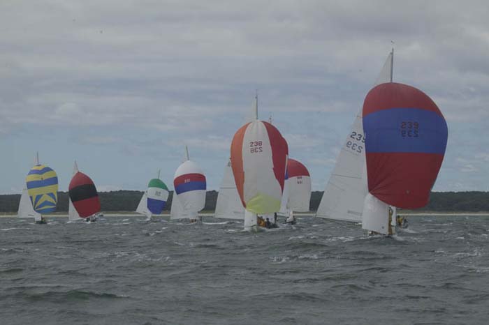 5D2W7840 - sail 239 sail 238