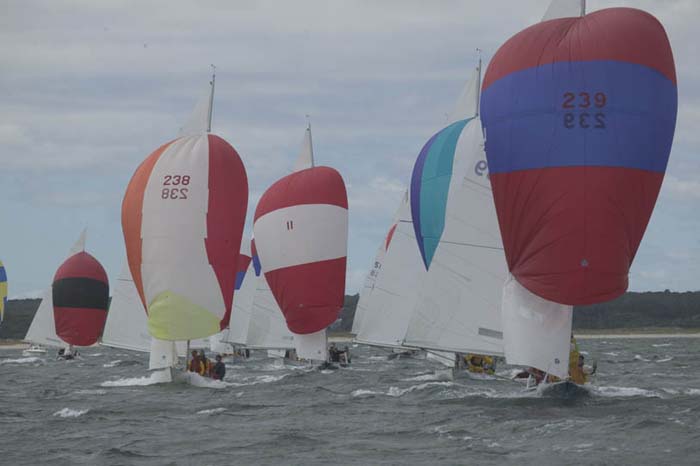 5D2W7842 - ccsb sail 239 sail 238 sail 11
