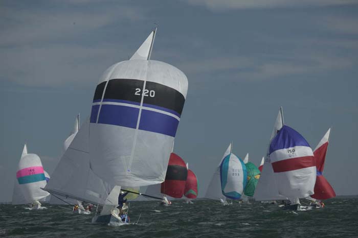 5D2W8231 - sail 220