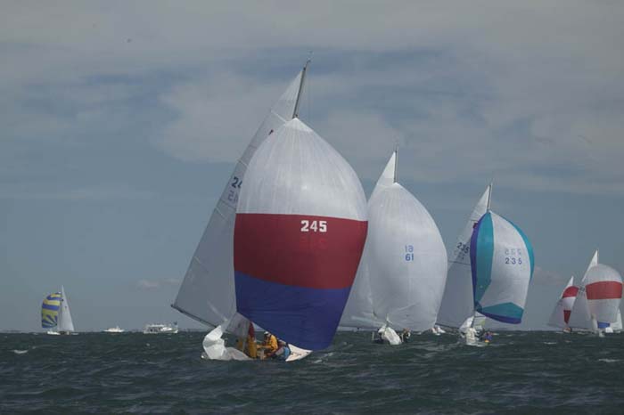 5D2W8287 - sail 245 sail 61