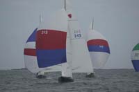 5D2W7272 - sail 245
