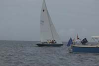 5D2W7285 - sail 239
