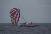 5D2W7494 - sail 252
