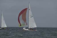 5D2W7497 - sail 238