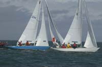 5D2W7537 - sail 160 sail 244