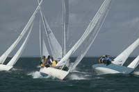 5D2W7542 - sail 248