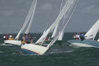 5D2W7545 - sail 248