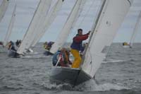 5D2W7764 - sail 245