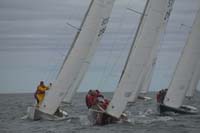5D2W7771 - sail 252 sail 238