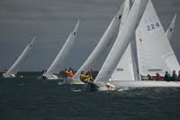 5D2W7868 - sail 224 sail 239
