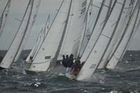 5D2W8217 - sail 245 sail 221
