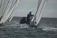5D2W8221 - sail 150