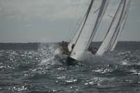5D2W8223 - sail 239