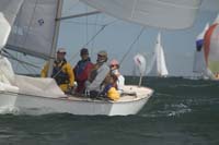 5D2W8316 - sail 229